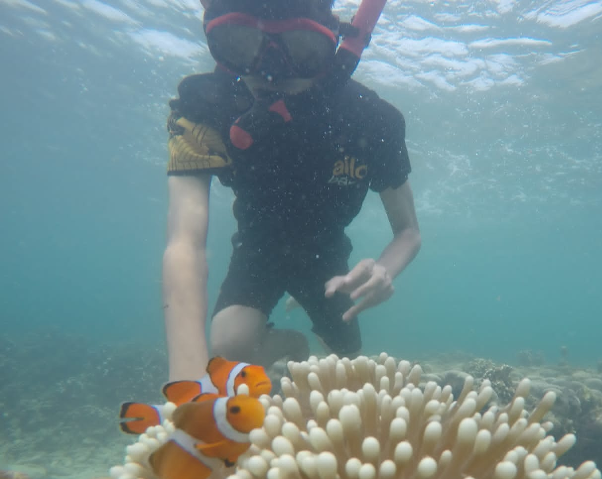 Snorkelling"